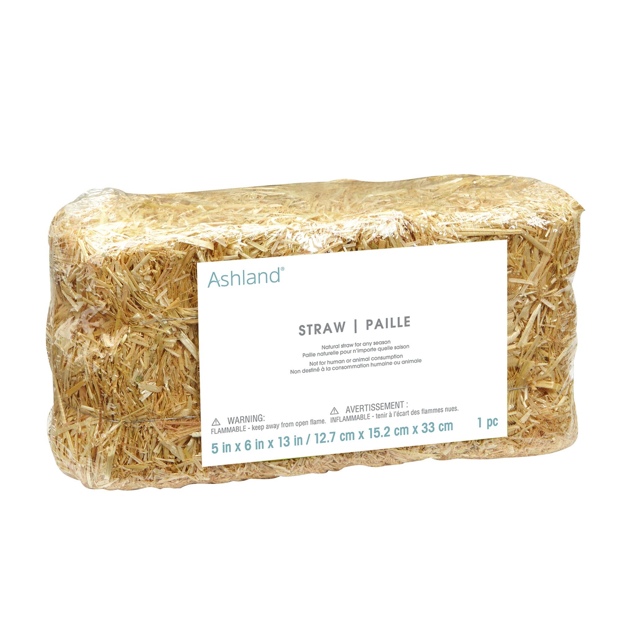12 Pack: 13" Decorative Straw Bale by Ashland®
